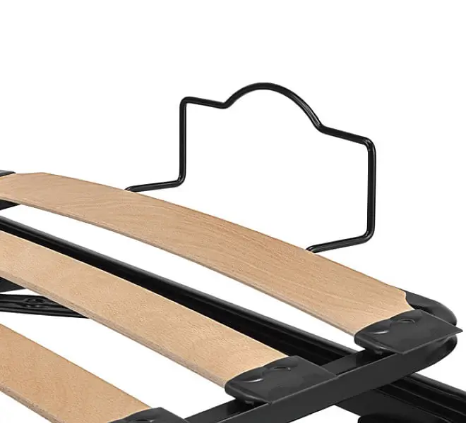 Somiera Indicta manual - imagine 3